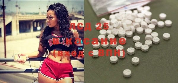 твердый Арсеньев