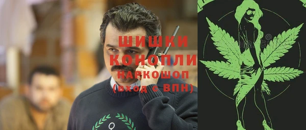 твердый Арсеньев