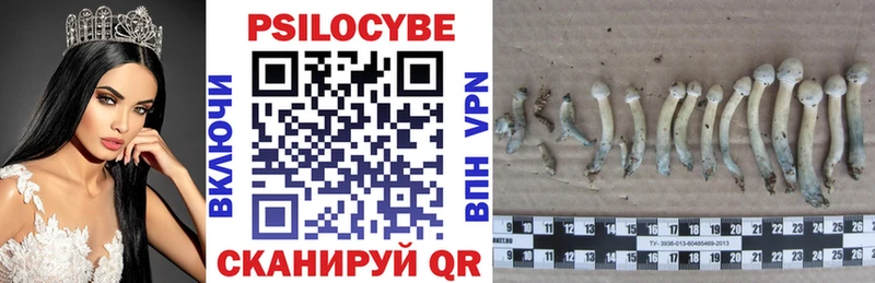 Псилоцибиновые грибы Cubensis  Купить  Правдинск 